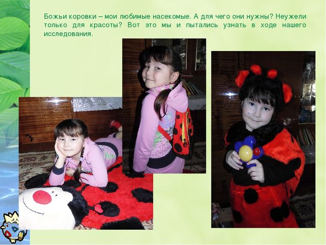 Презентация Окружающий мир "Зачем нужны божьи коровки?"