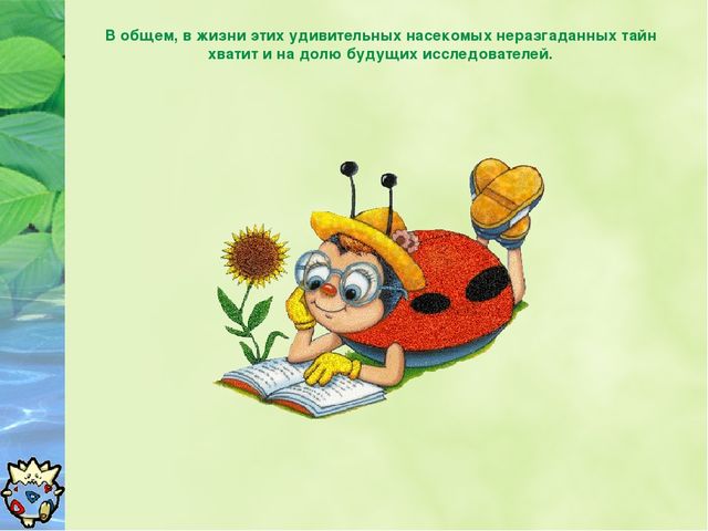 Презентация Окружающий мир "Зачем нужны божьи коровки?"