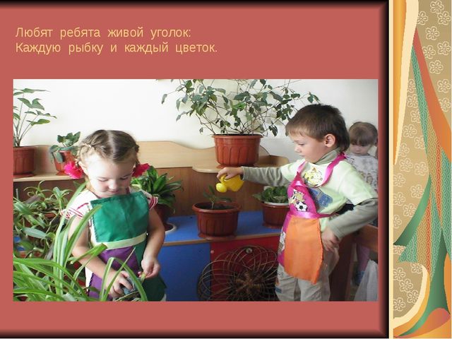 Презентация "наша жизнь в детском саду"
