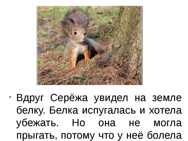 Презентация к занятию по ОД «Познавательное развитие» "Забота о животных"