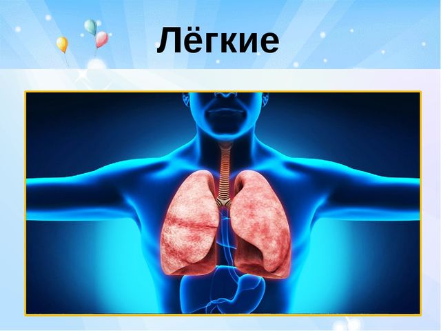 Презентация по ЗОЖ "Тайна дыхания человека"