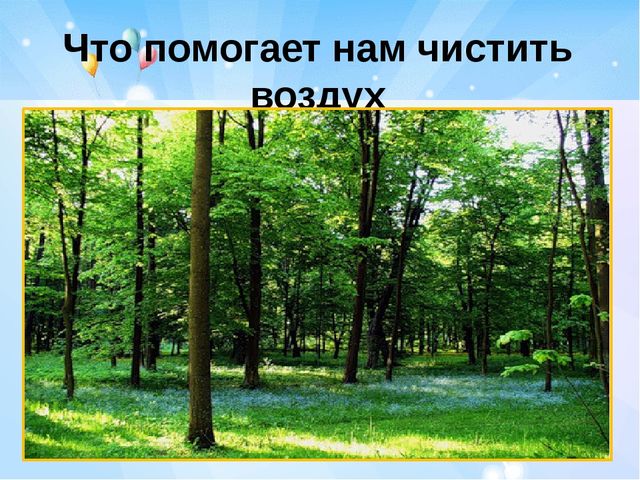 Презентация по ЗОЖ "Тайна дыхания человека"