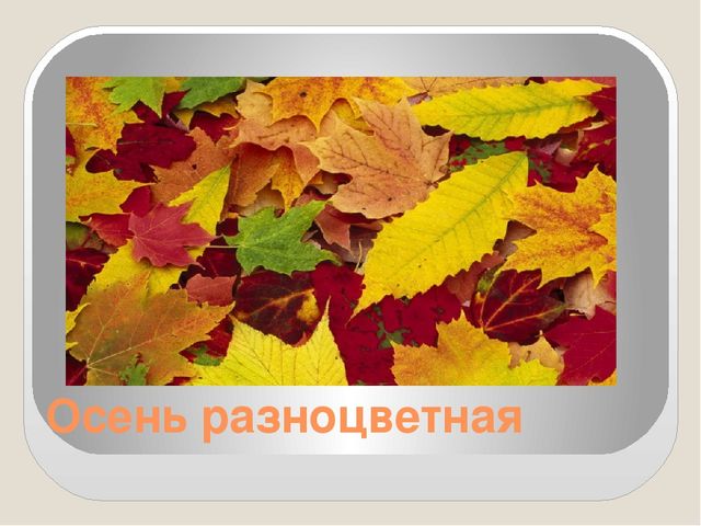 Интегрированное занятие на тему "Осень разноцветная" (подготовительной группа)