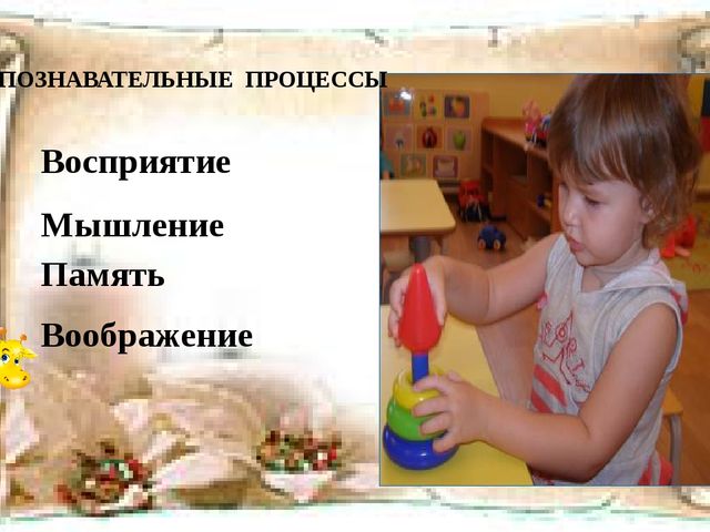 Презентация на тему: "Психическое развитие детей ранего возраста"