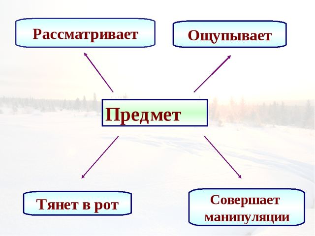 Развитие предметной деятельности в раннем возрасте