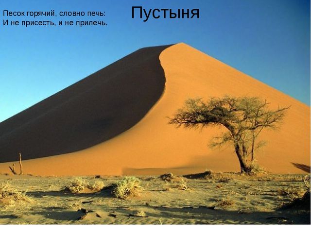 Презентация по окружающему миру 1 дополнительный класс для детей с ОВЗ