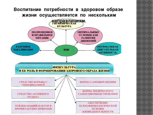 Воспитание потребностей. Потребность в здоровом образе жизни. Воспитание потребности в ЗОЖ. Потребность в воспитании. Формирование потребности здорового образа жизни для детей.