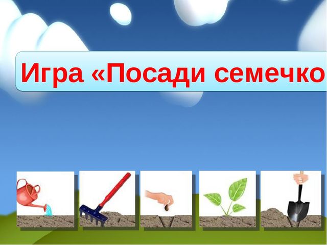Интерактивные игры по труду.