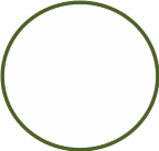 Shape25