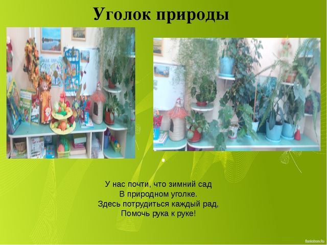 Презентация развивающей среды по ФГОС