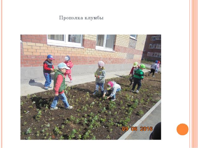 Презентация на тему "Группа Солнечная"