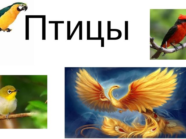 Призентация к открытому уроку