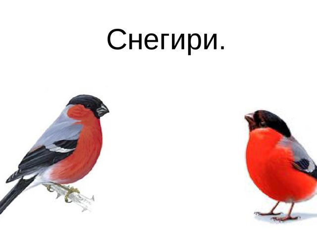 Призентация к открытому уроку