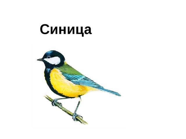 Призентация к открытому уроку