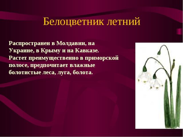 Презентация по окружающему миру на тему" Красная книга России"