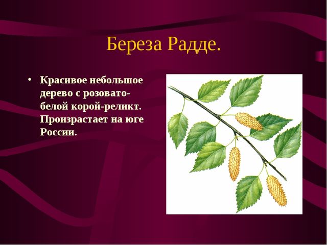 Презентация по окружающему миру на тему" Красная книга России"