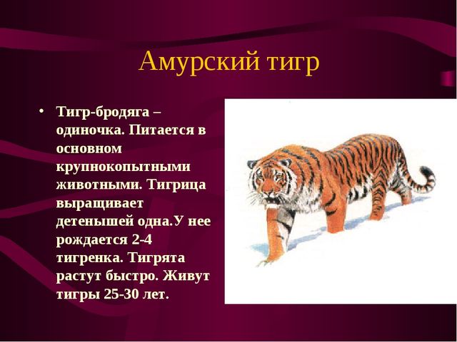 Презентация по окружающему миру на тему" Красная книга России"