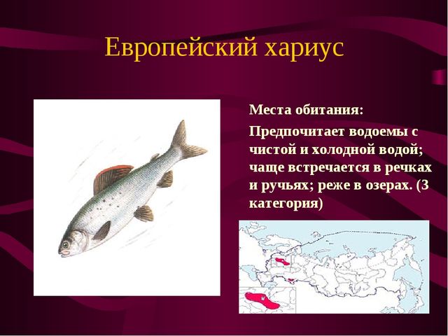 Презентация по окружающему миру на тему" Красная книга России"