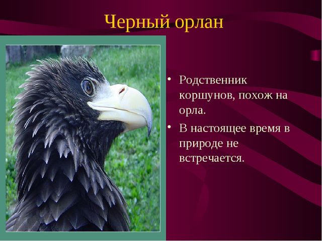 Презентация по окружающему миру на тему" Красная книга России"