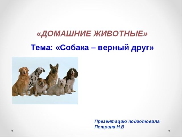 Презентация на тему "Домашние животные .Собака - верный друг"