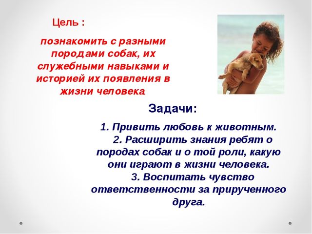 Презентация на тему "Домашние животные .Собака - верный друг"