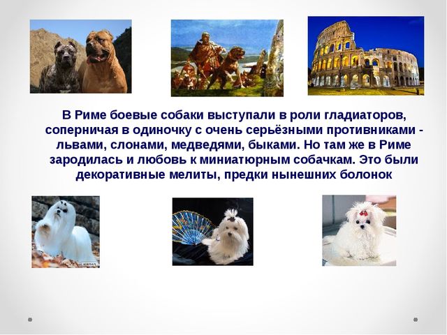 Презентация на тему "Домашние животные .Собака - верный друг"
