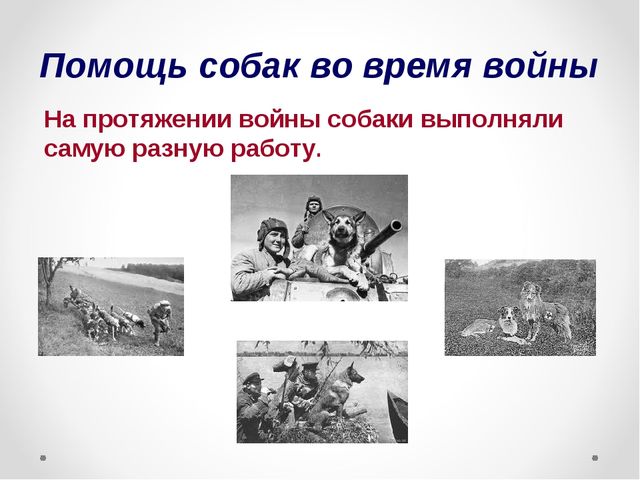 Презентация на тему "Домашние животные .Собака - верный друг"