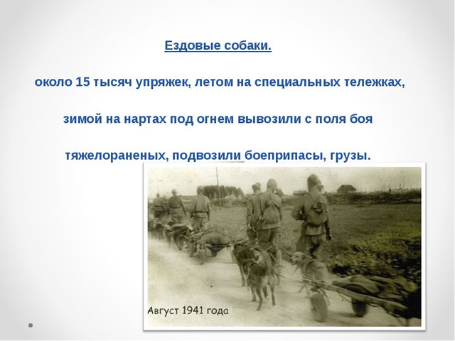 Презентация на тему "Домашние животные .Собака - верный друг"