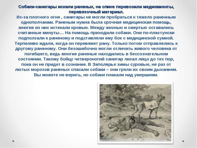 Презентация на тему "Домашние животные .Собака - верный друг"