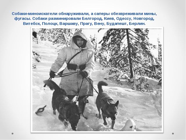 Презентация на тему "Домашние животные .Собака - верный друг"