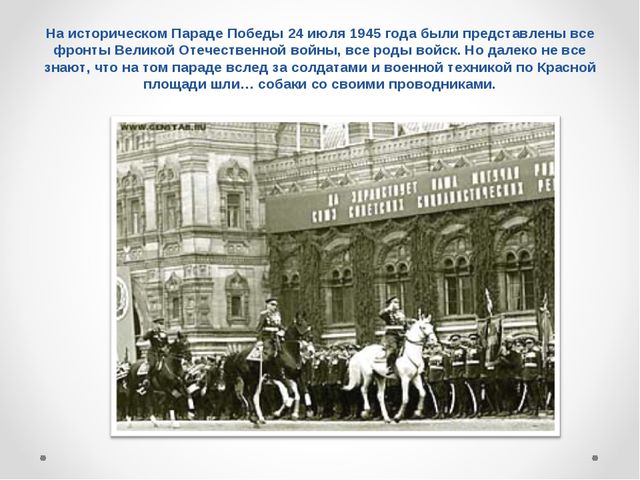 Презентация на тему "Домашние животные .Собака - верный друг"