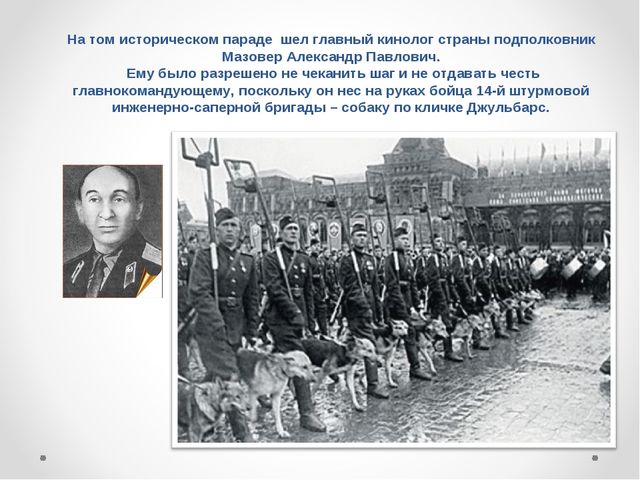 Презентация на тему "Домашние животные .Собака - верный друг"
