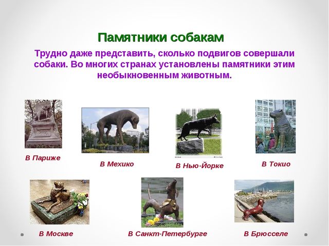 Презентация на тему "Домашние животные .Собака - верный друг"