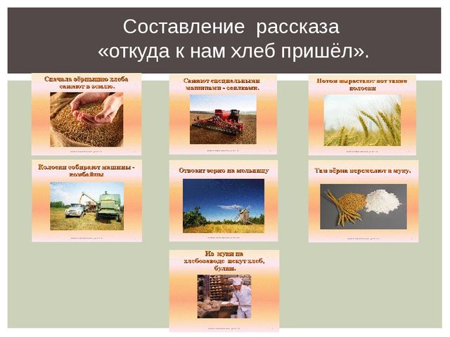 Презентация проекта "Азбука здорового питания"