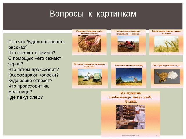Презентация проекта "Азбука здорового питания"
