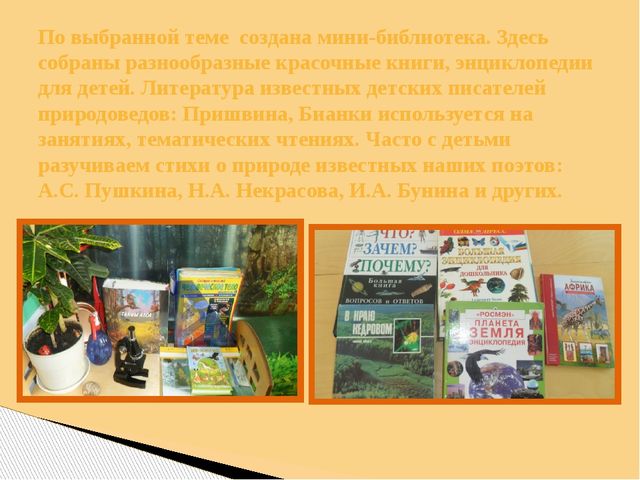 Презентация Опыт работы тема: «Использование поисково-экспериментальной деятельности по экологическому развитию у детей старшего дошкольного возраста»