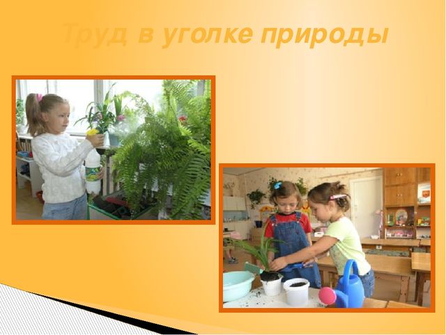 Презентация Опыт работы тема: «Использование поисково-экспериментальной деятельности по экологическому развитию у детей старшего дошкольного возраста»