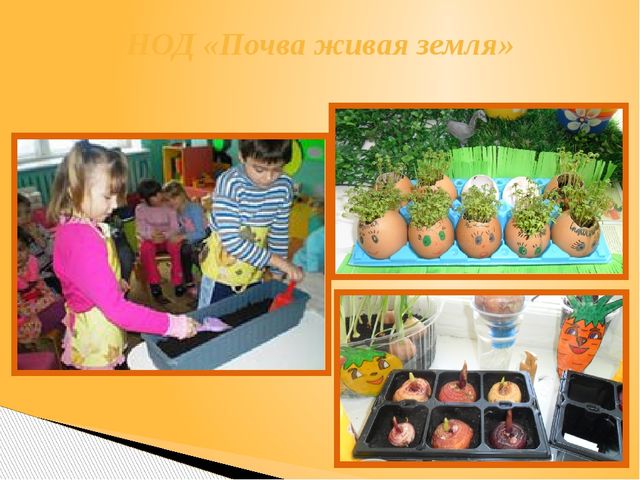 Презентация Опыт работы тема: «Использование поисково-экспериментальной деятельности по экологическому развитию у детей старшего дошкольного возраста»