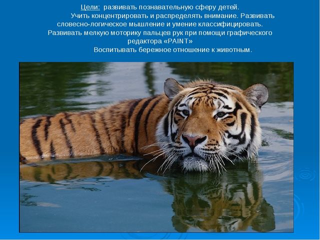 Мир дикой природы презентация для детей с ограниченными возможностями