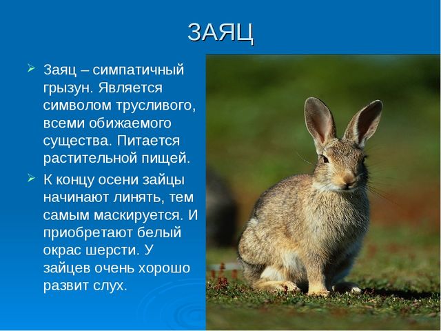 Мир дикой природы презентация для детей с ограниченными возможностями