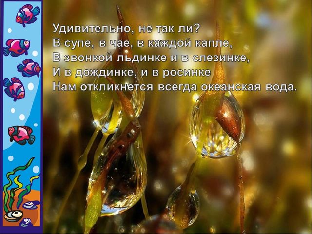 Методическая разработка занятия по экологическому воспитанию "Откуда вода к нам приходит и куда уходит"