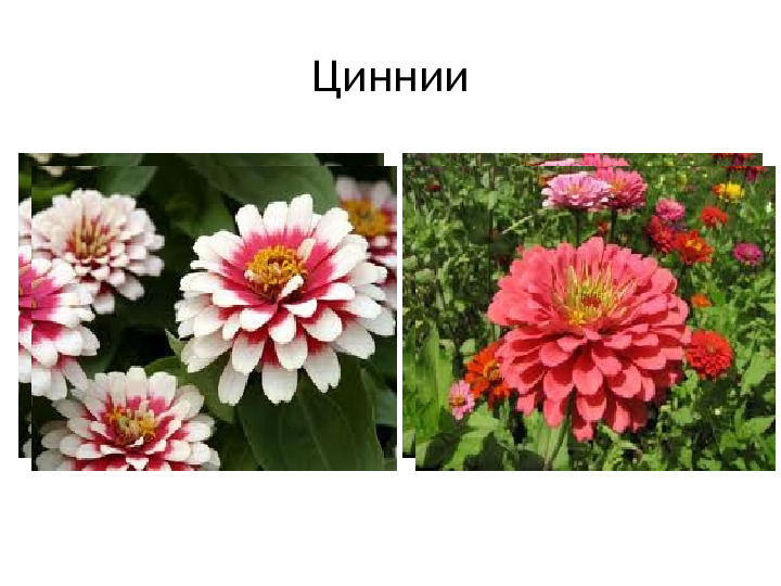 Презентация на тему Ручной труд (дошкольники )