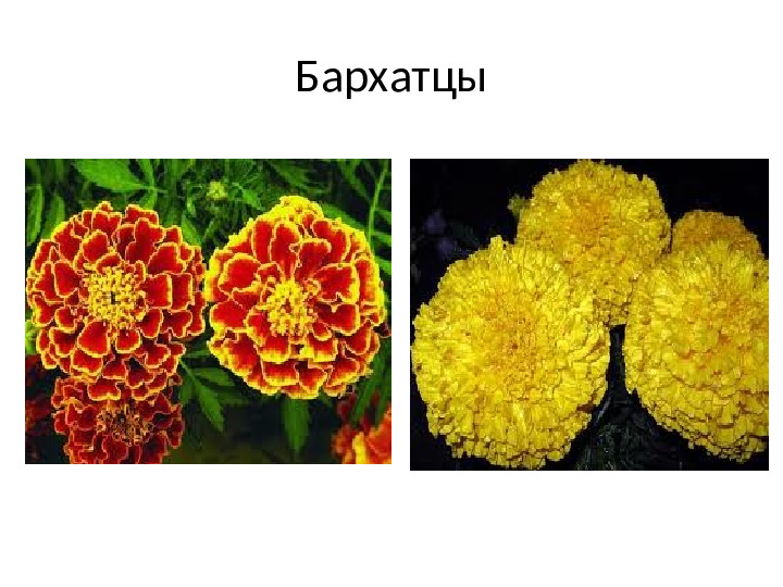 Презентация на тему Ручной труд (дошкольники )