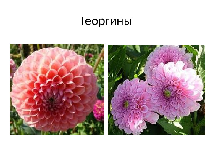 Презентация на тему Ручной труд (дошкольники )