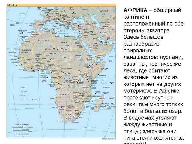 Презентация для дошкольников "Африка"