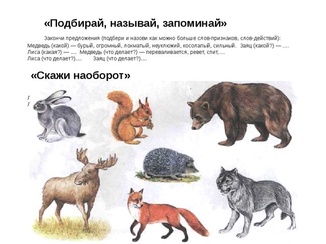 Презентация на лексическую тему "Дикие животные"