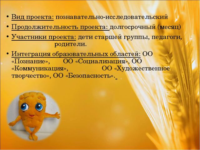Проект: «Приключения хлебного зернышка»