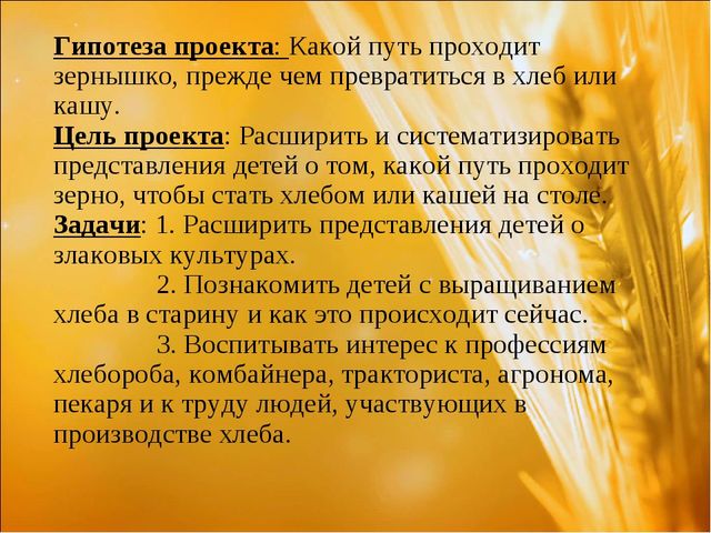 Проект: «Приключения хлебного зернышка»