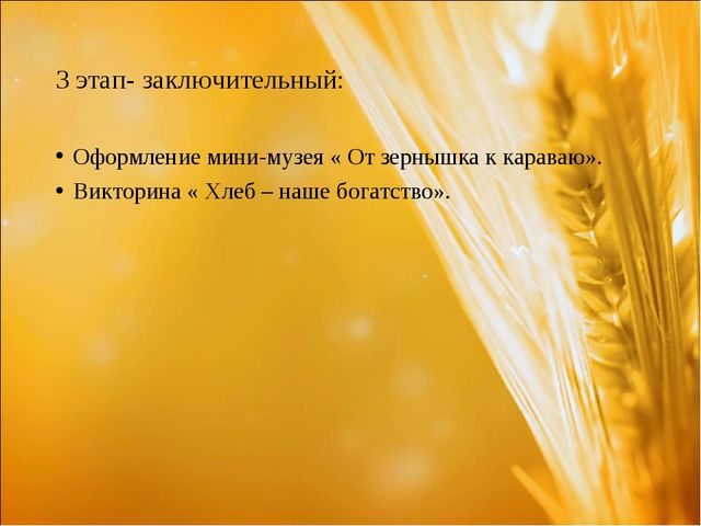 Проект: «Приключения хлебного зернышка»