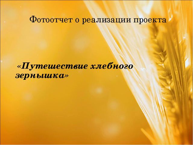 Проект: «Приключения хлебного зернышка»